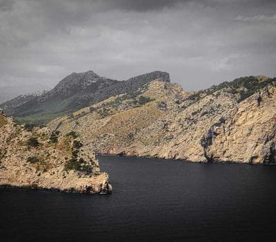 Cookies cooling on a wire rack
